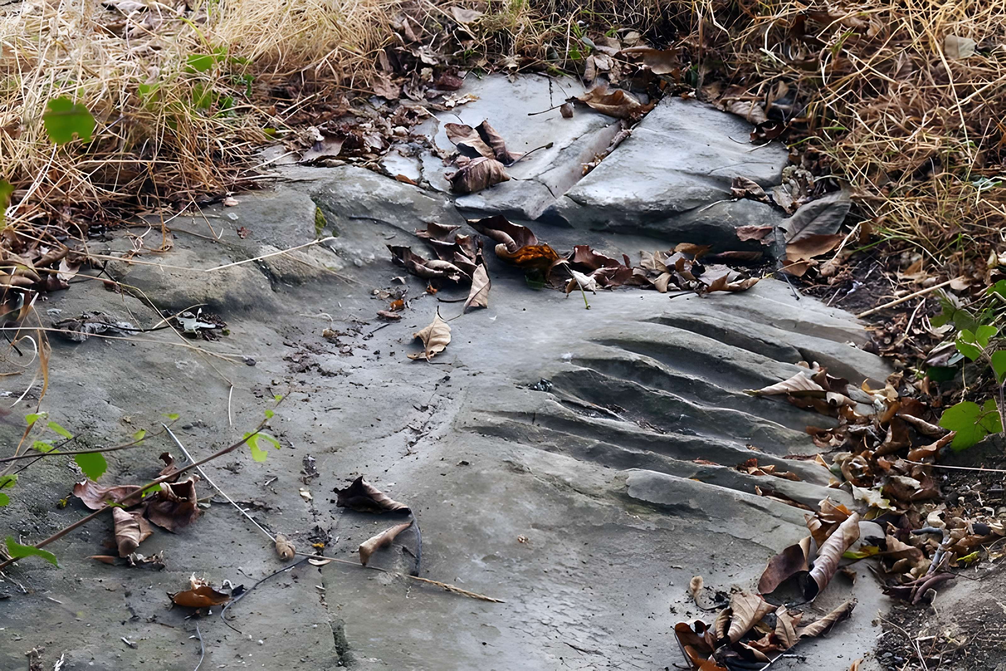 Polissoir de Grimery à Buno-Bonnevaux 
