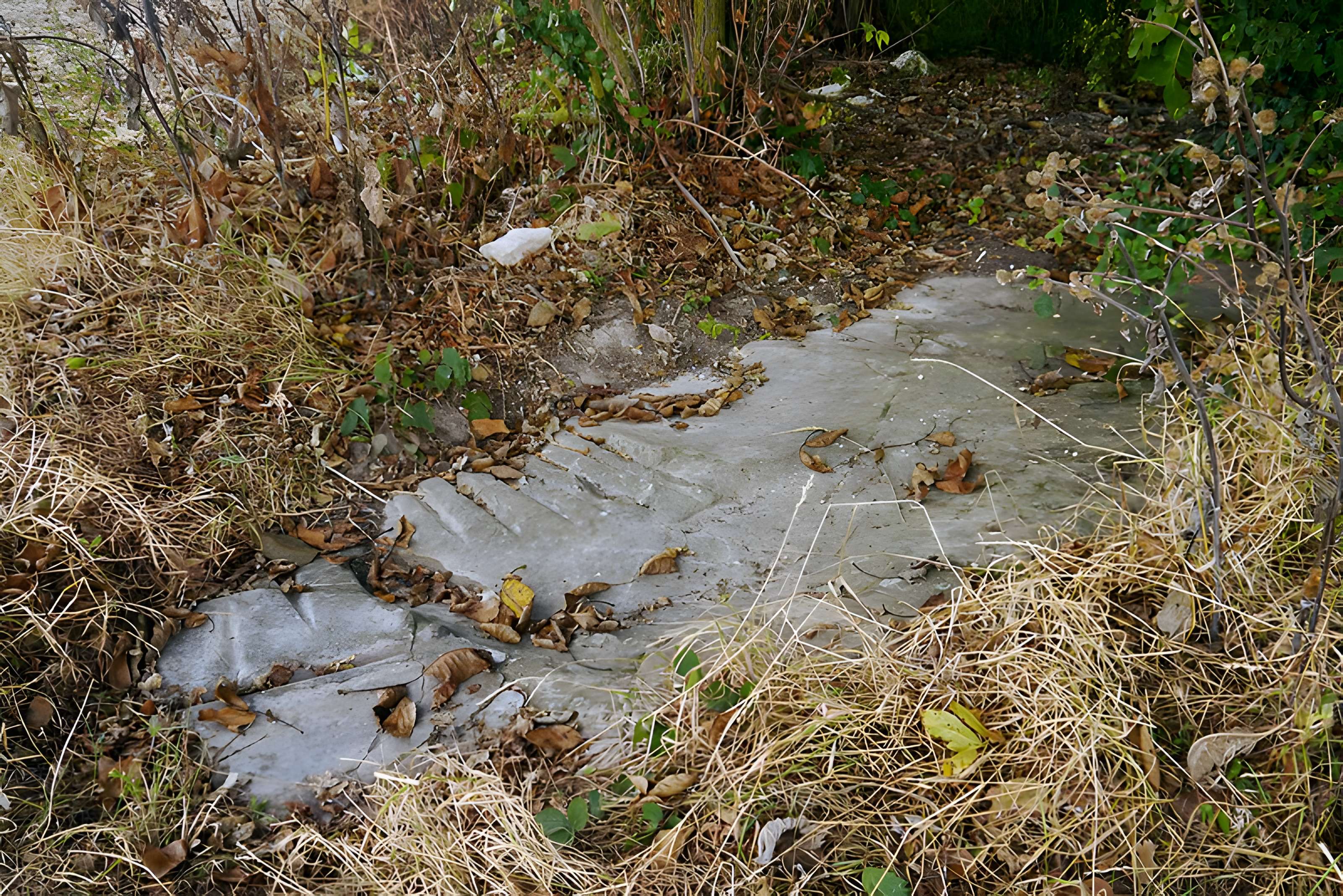 Polissoir de Grimery à Buno-Bonnevaux