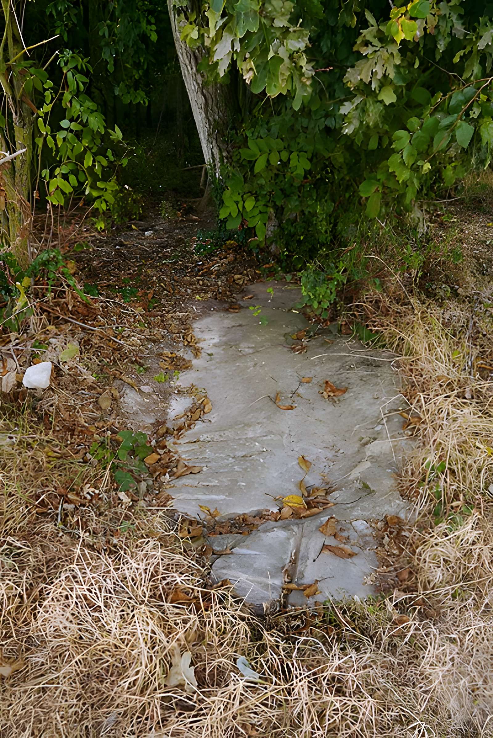 Polissoir de Grimery à Buno-Bonnevaux