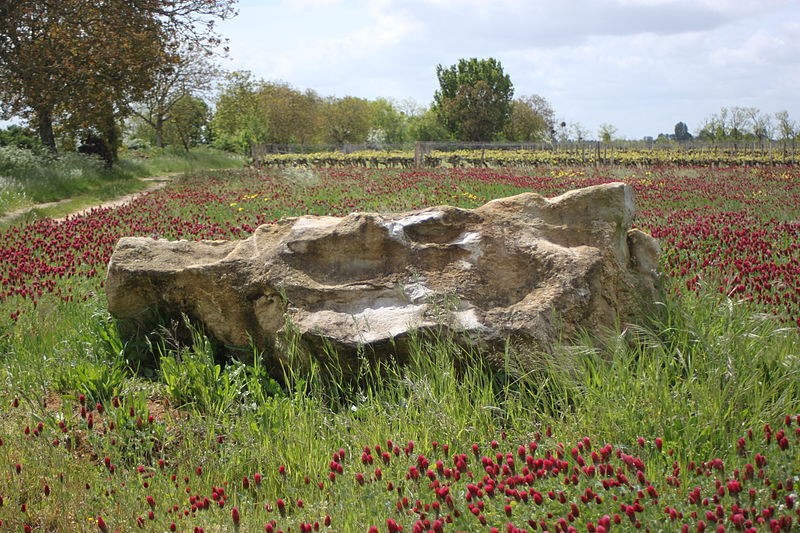 Photo de Polissoir de la Grouas de Martigné-Briand