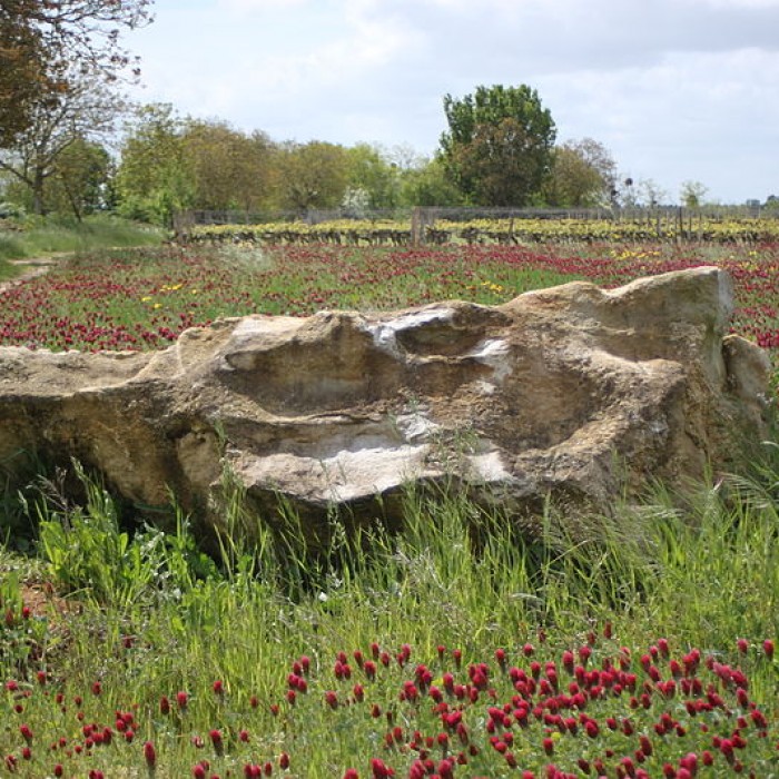 Photo de Polissoir de la Grouas de Martigné-Briand