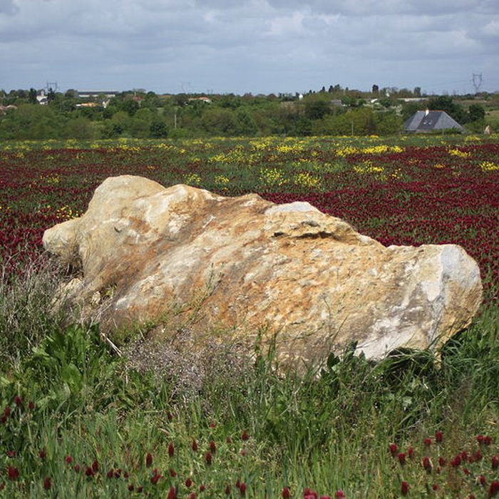 Photo de Polissoir de la Grouas de Martigné-Briand