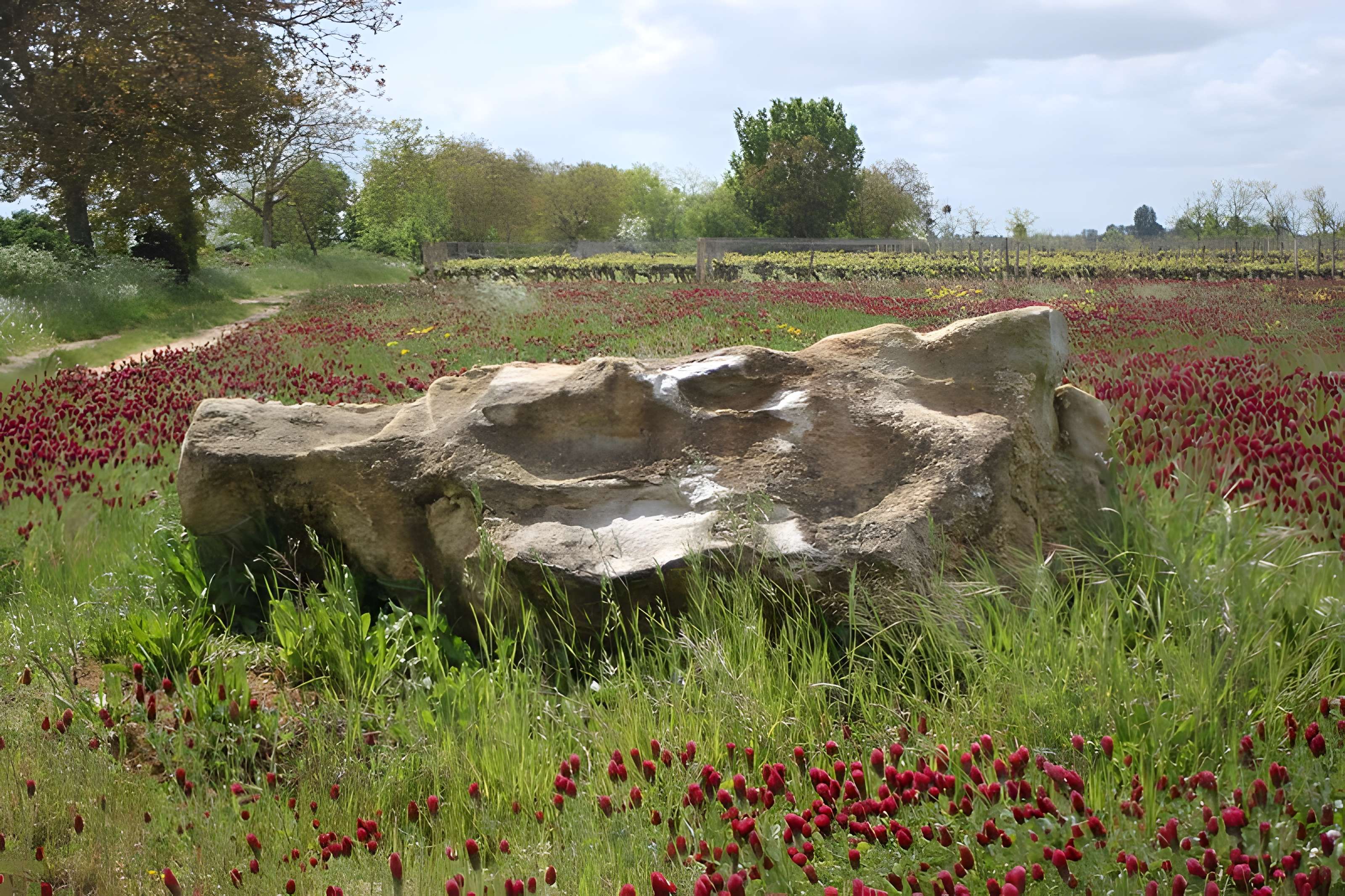 Polissoir de la Grouas de Martigné-Briand 