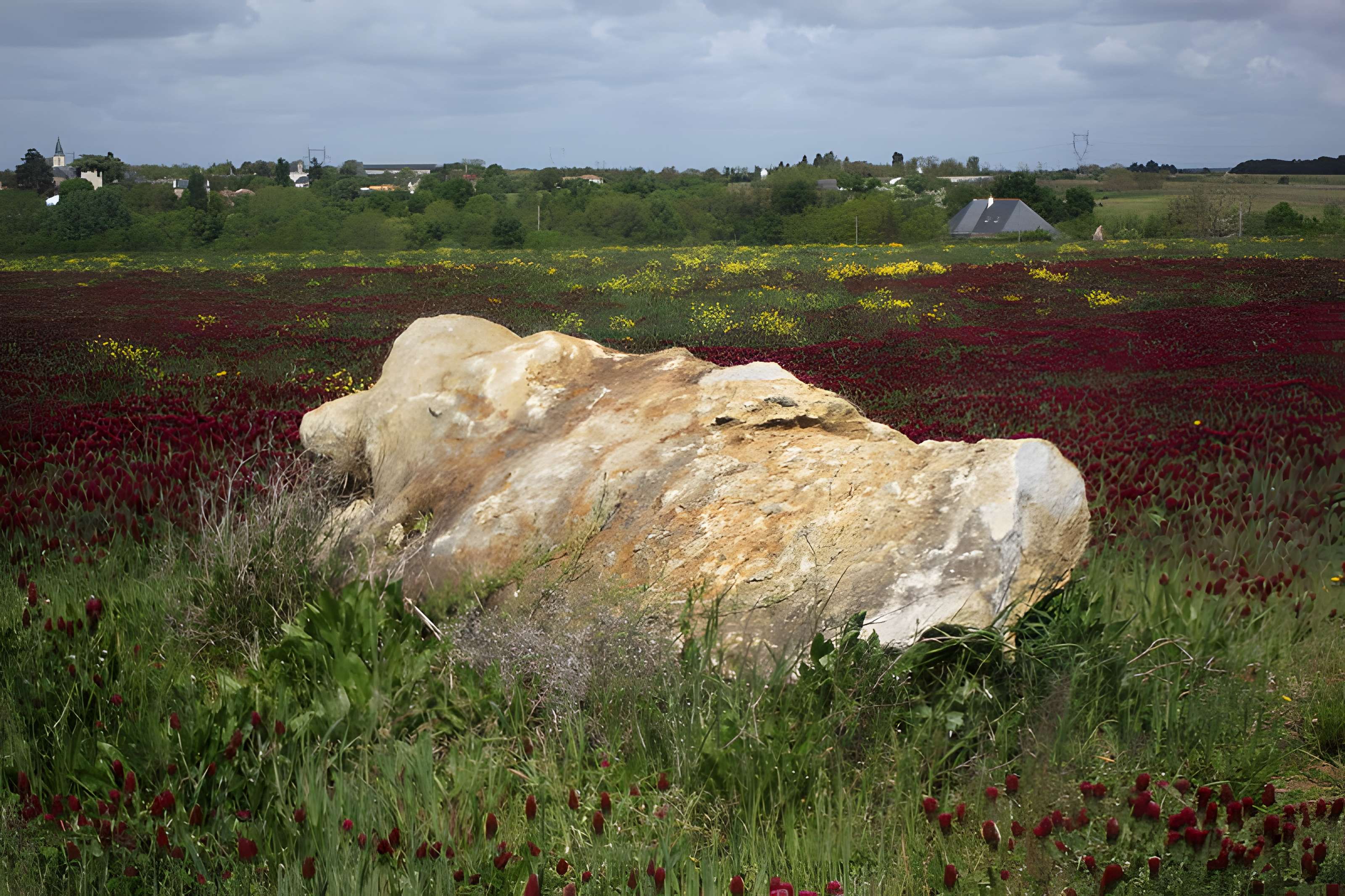 Polissoir de la Grouas de Martigné-Briand
