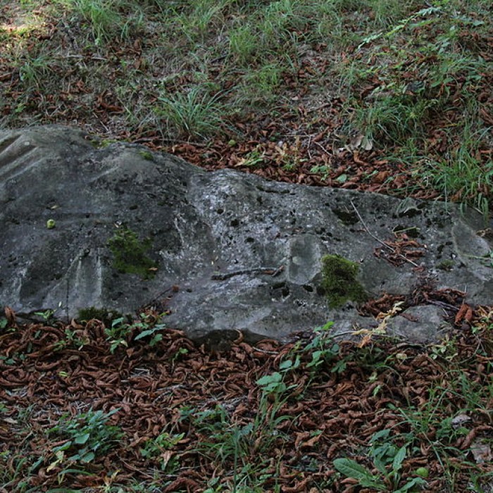 Photo de Polissoir de la Petite-Garenne de Morigny-Champigny