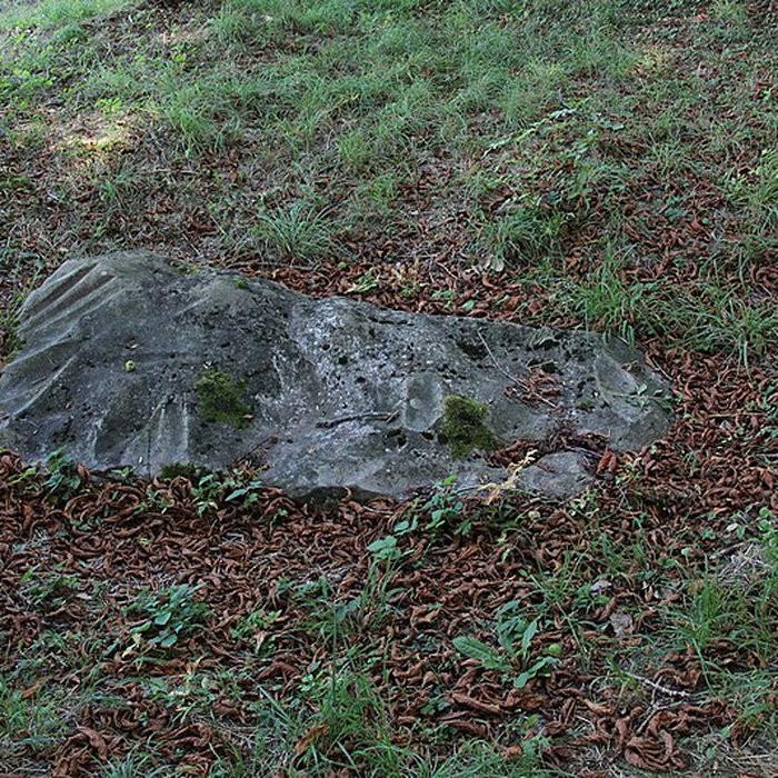 Photo de Polissoir de la Petite-Garenne de Morigny-Champigny