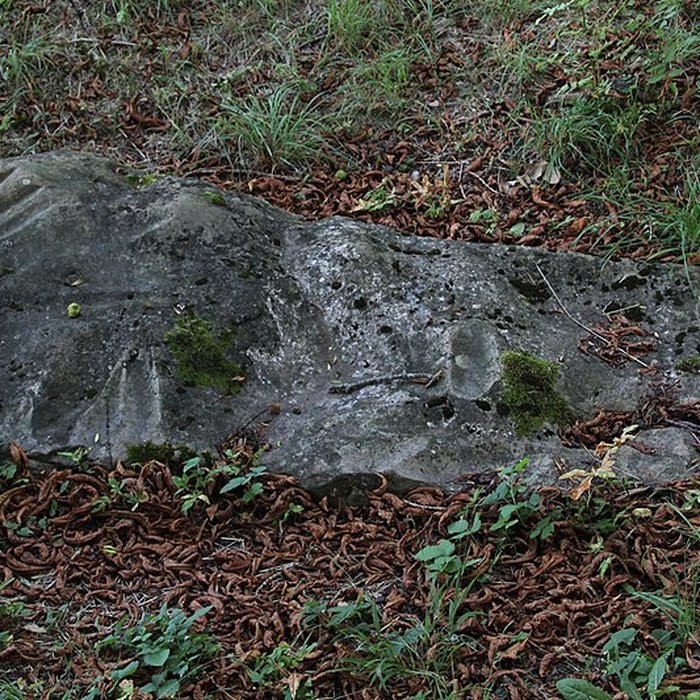 Photo de Polissoir de la Petite-Garenne de Morigny-Champigny