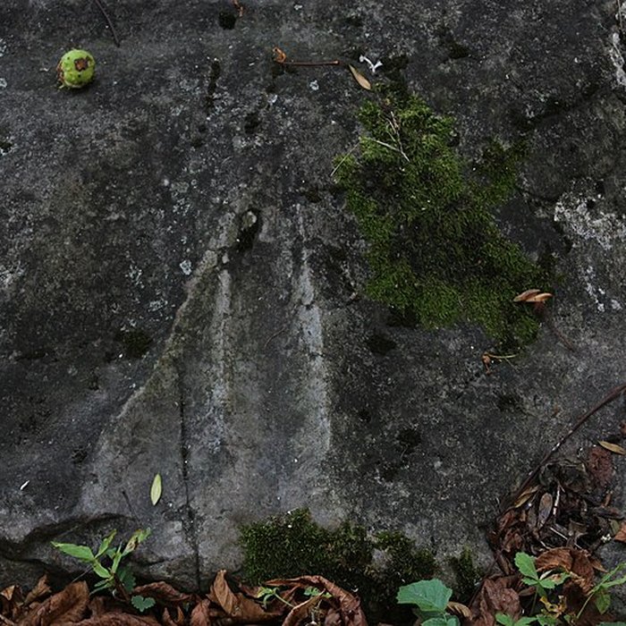 Photo de Polissoir de la Petite-Garenne de Morigny-Champigny