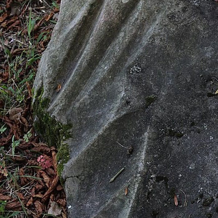 Photo de Polissoir de la Petite-Garenne de Morigny-Champigny