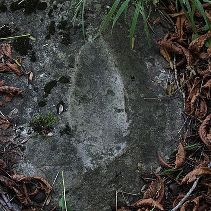 Photo de Polissoir de la Petite-Garenne de Morigny-Champigny