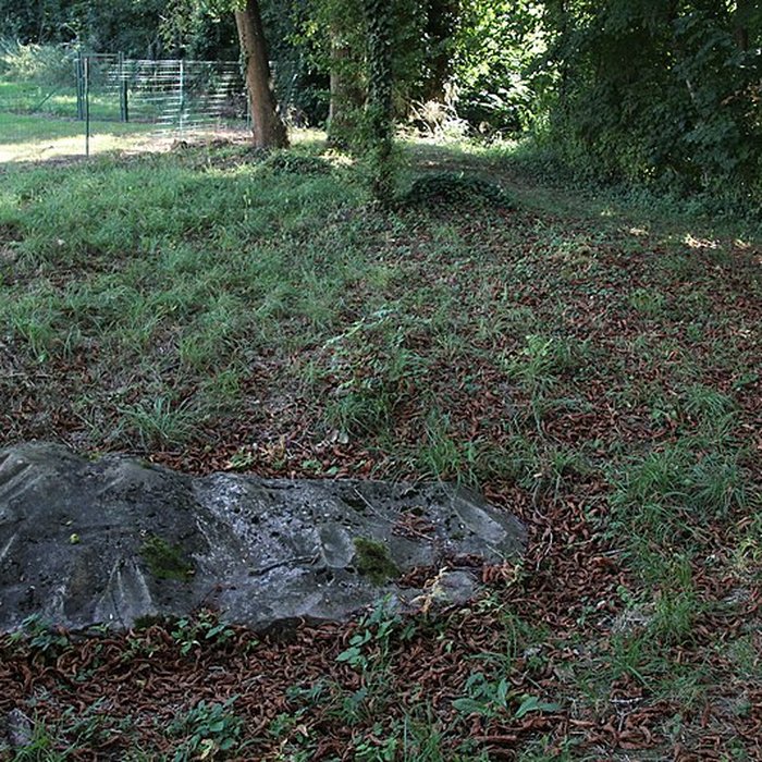 Photo de Polissoir de la Petite-Garenne de Morigny-Champigny