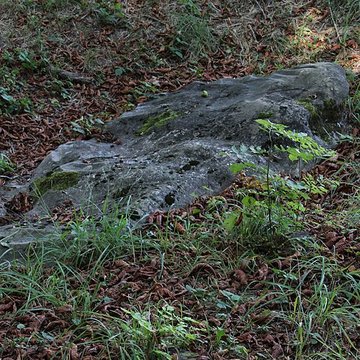 Polissoir de la Petite-Garenne de Morigny-Champigny
