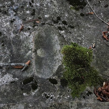Polissoir de la Petite-Garenne de Morigny-Champigny