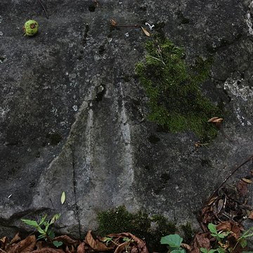 Polissoir de la Petite-Garenne de Morigny-Champigny