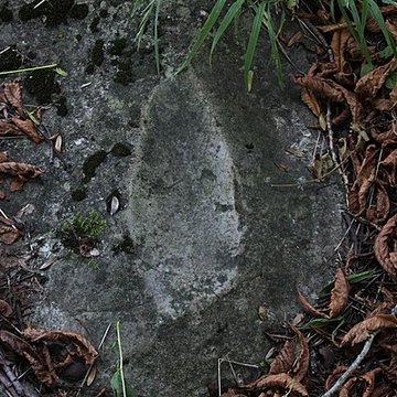 Polissoir de la Petite-Garenne de Morigny-Champigny