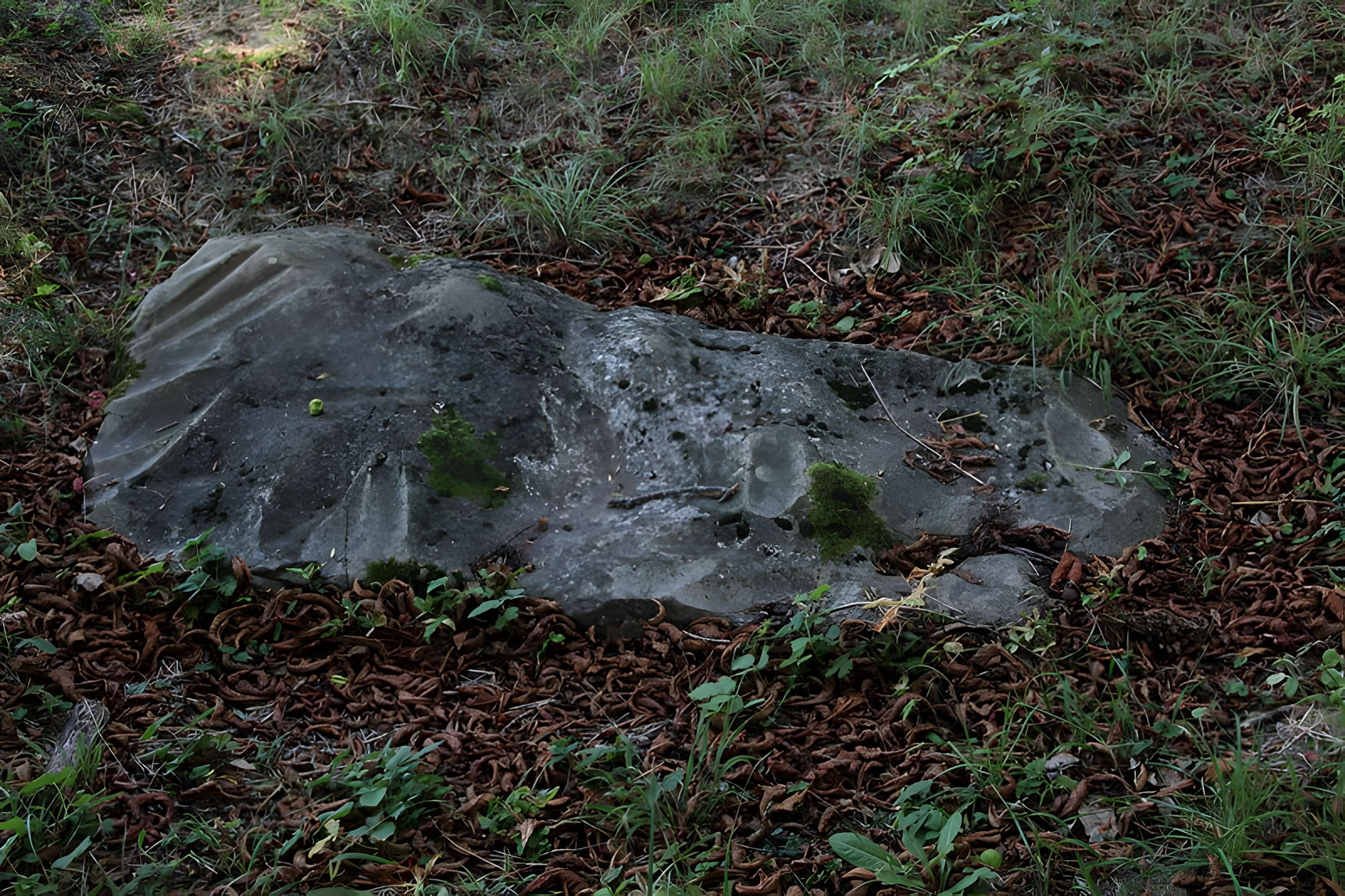 Polissoir de la Petite-Garenne de Morigny-Champigny 