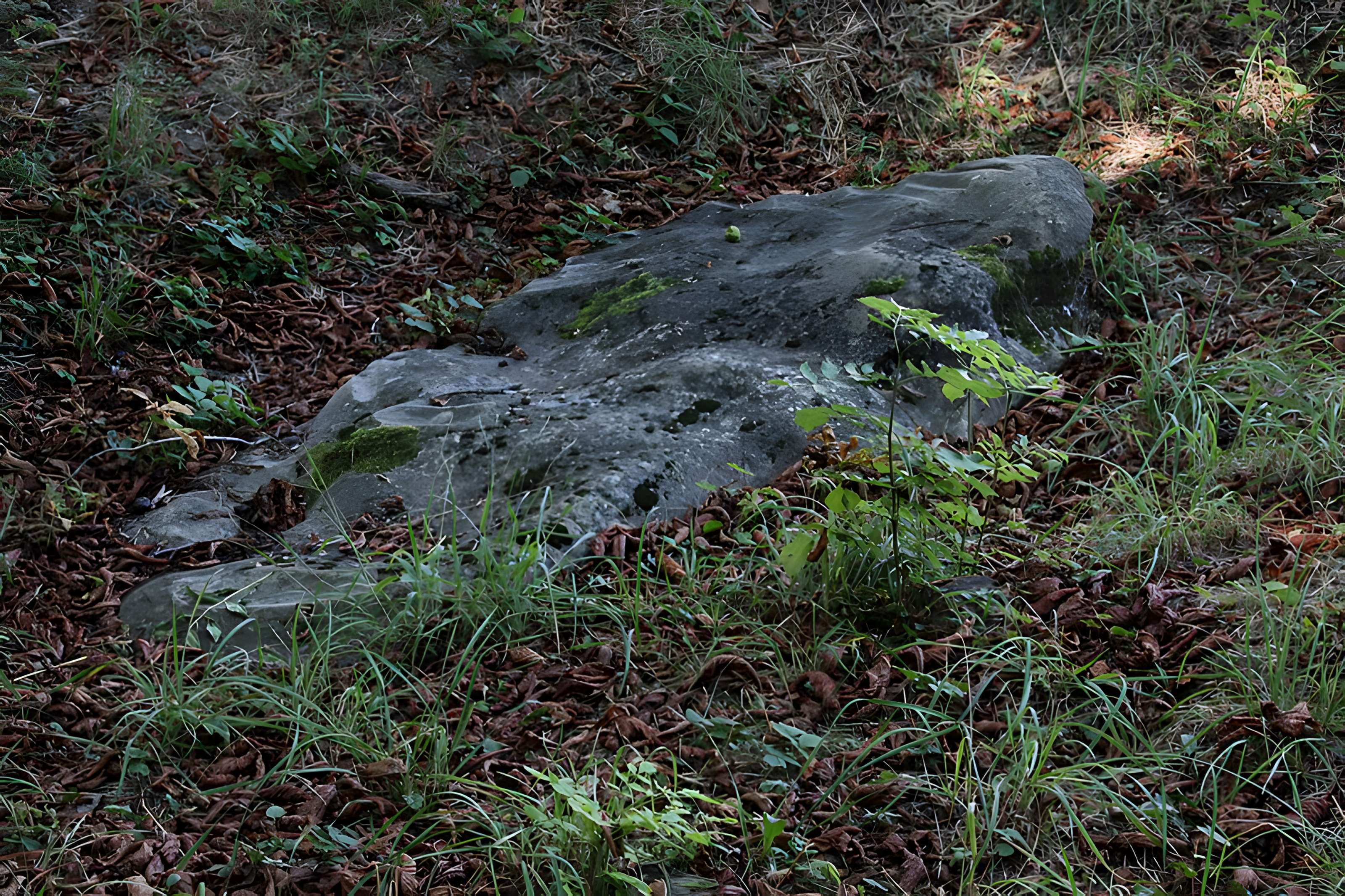 Polissoir de la Petite-Garenne de Morigny-Champigny