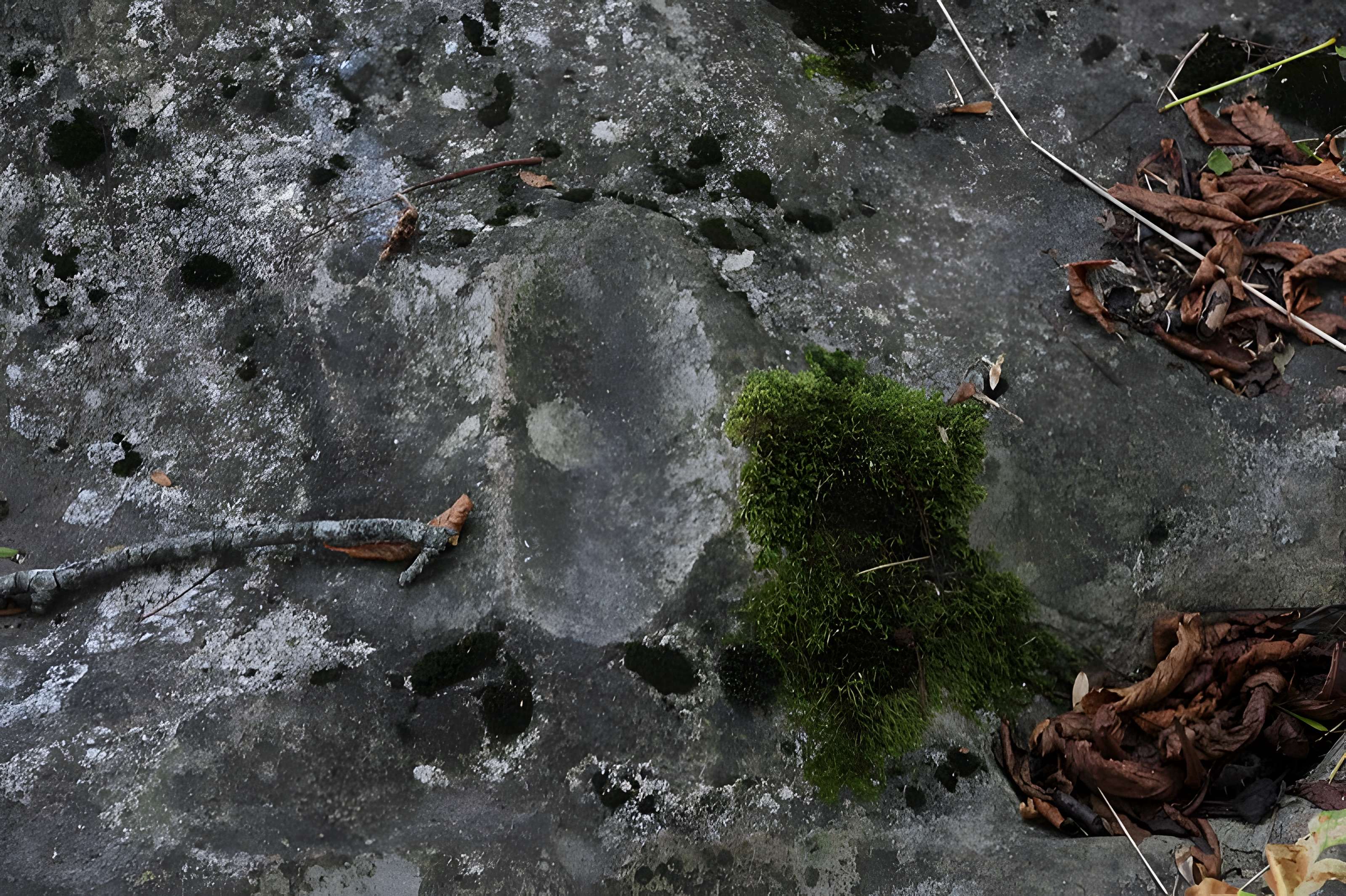 Polissoir de la Petite-Garenne de Morigny-Champigny