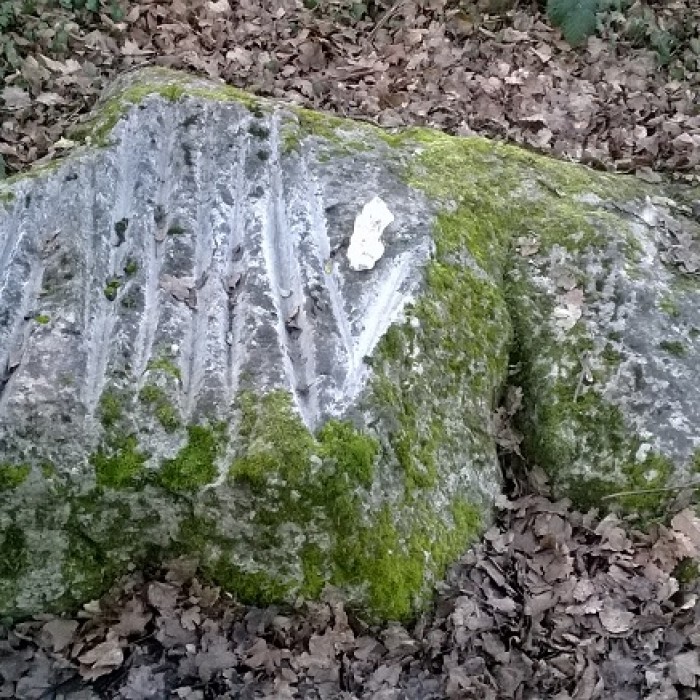 Photo de Polissoir de la Pierre aux dix doigts de Villemaur-sur-Vanne