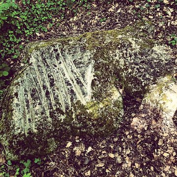 Polissoir de la Pierre aux dix doigts de Villemaur-sur-Vanne