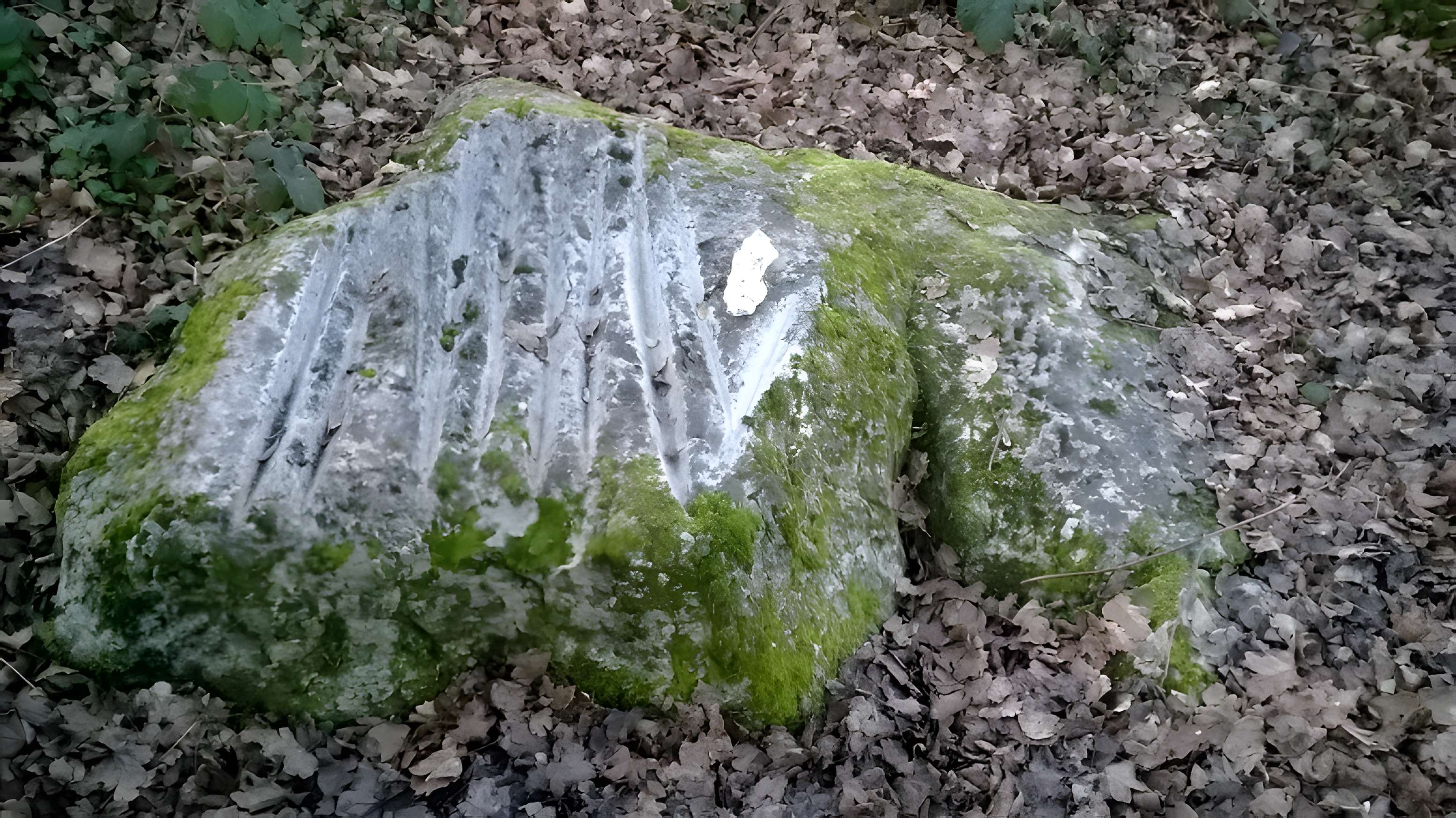 Polissoir de la Pierre aux dix doigts de Villemaur-sur-Vanne 
