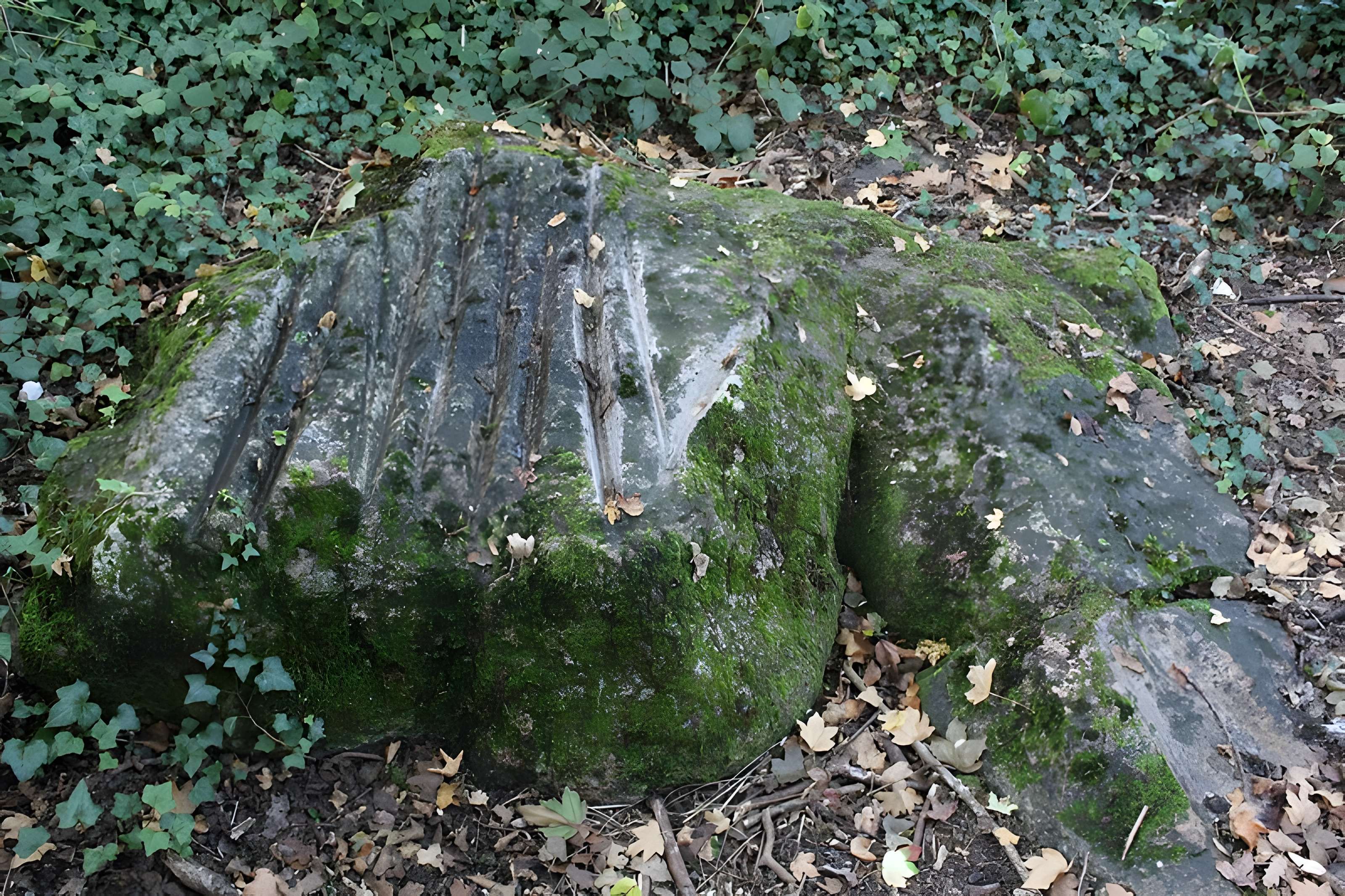 Polissoir de la Pierre aux dix doigts de Villemaur-sur-Vanne