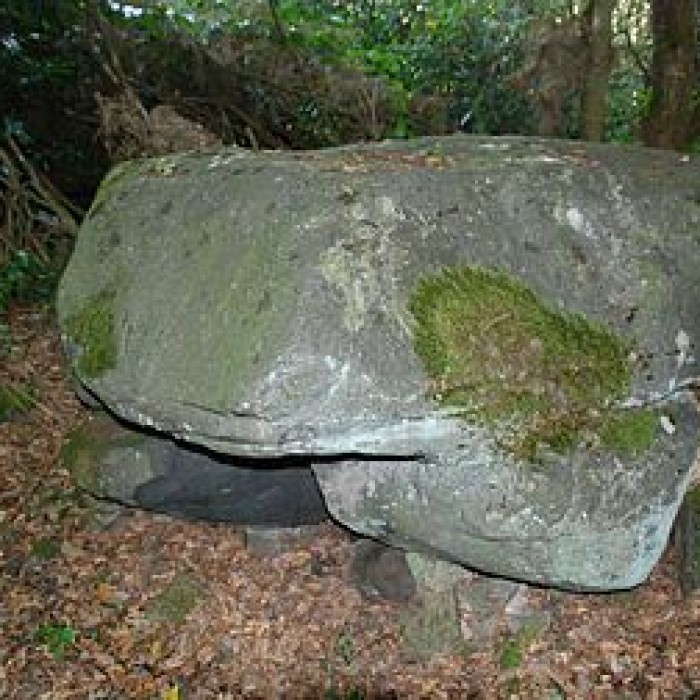 Photo de Polissoir du Petit Runio de Plouagat