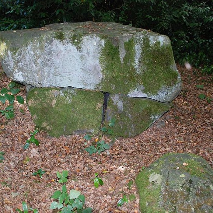Photo de Polissoir du Petit Runio de Plouagat