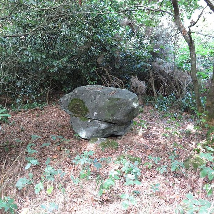 Photo de Polissoir du Petit Runio de Plouagat
