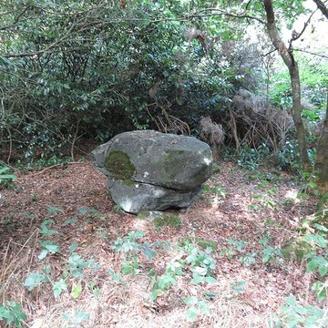 Polissoir du Petit Runio de Plouagat