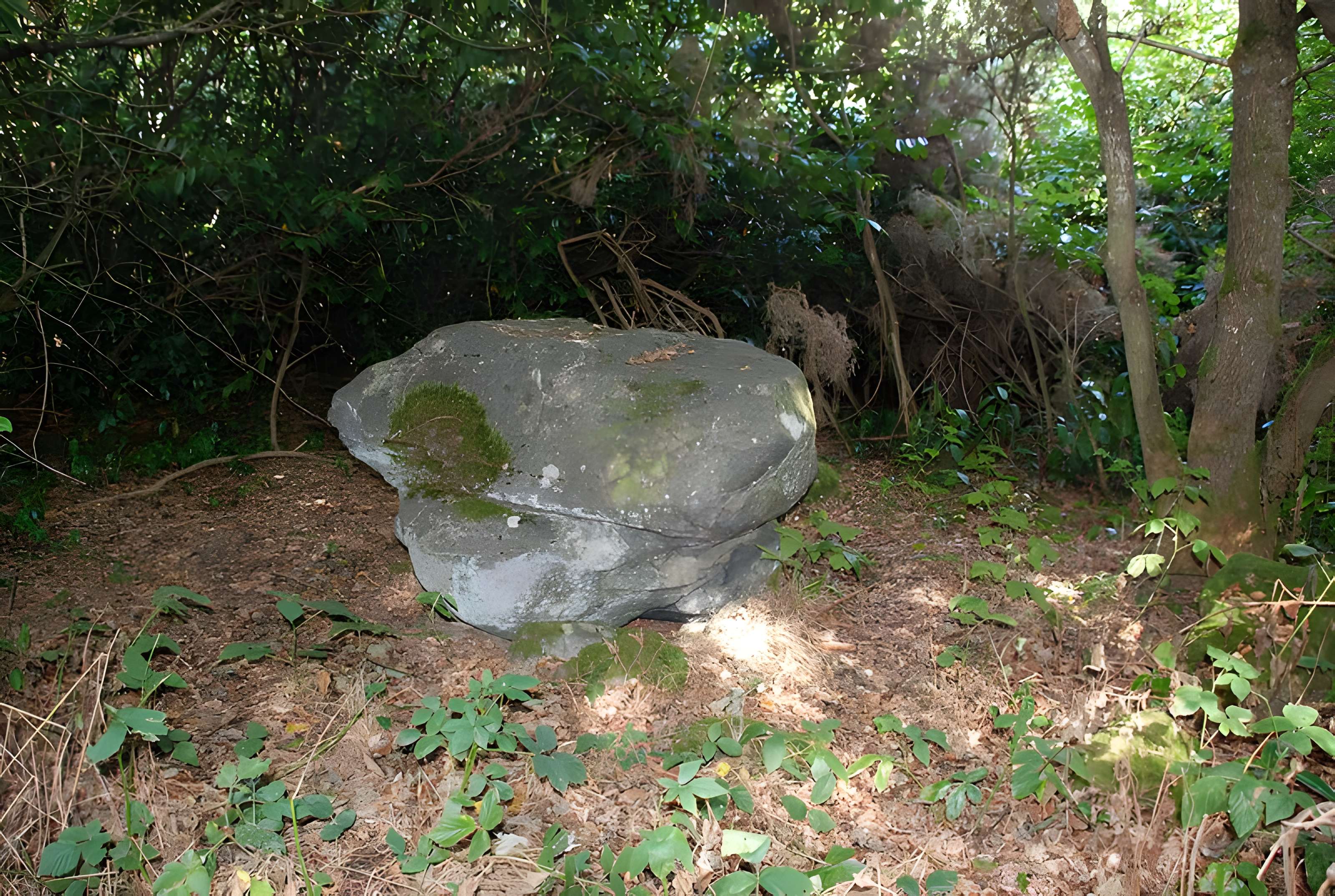 Polissoir du Petit Runio de Plouagat