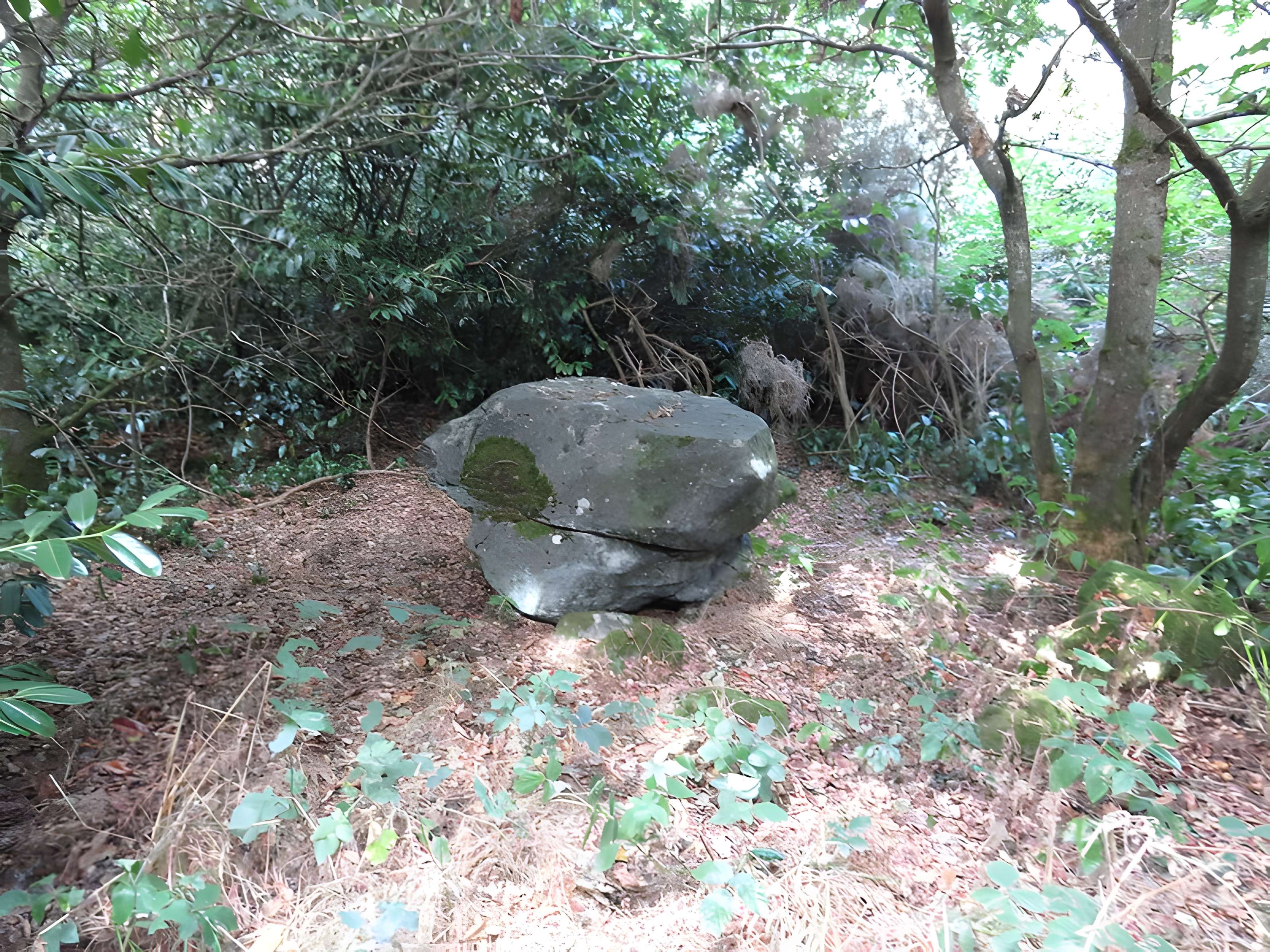 Polissoir du Petit Runio de Plouagat