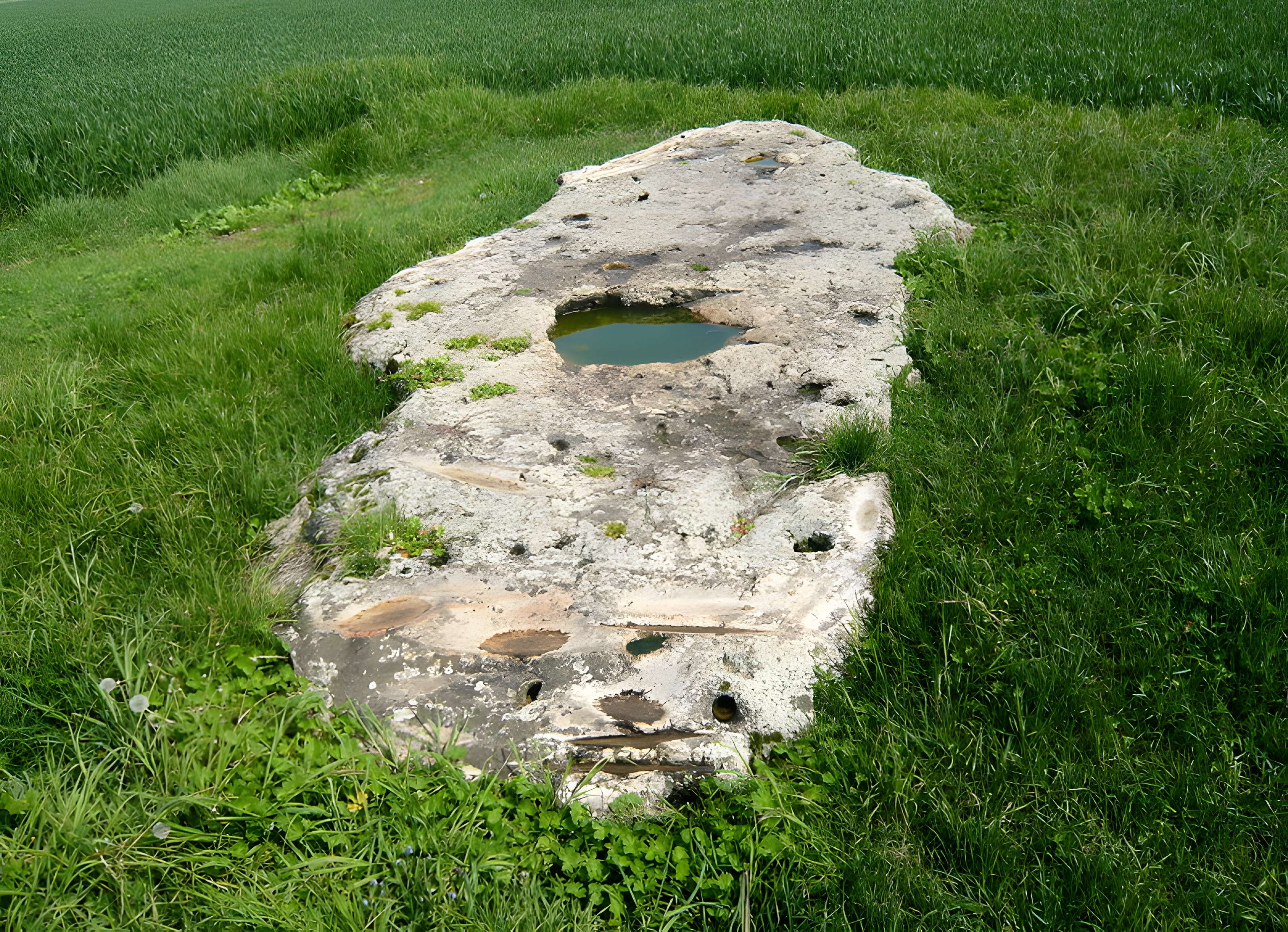 Polissoir Pinte de Saint-Martin à Corancez