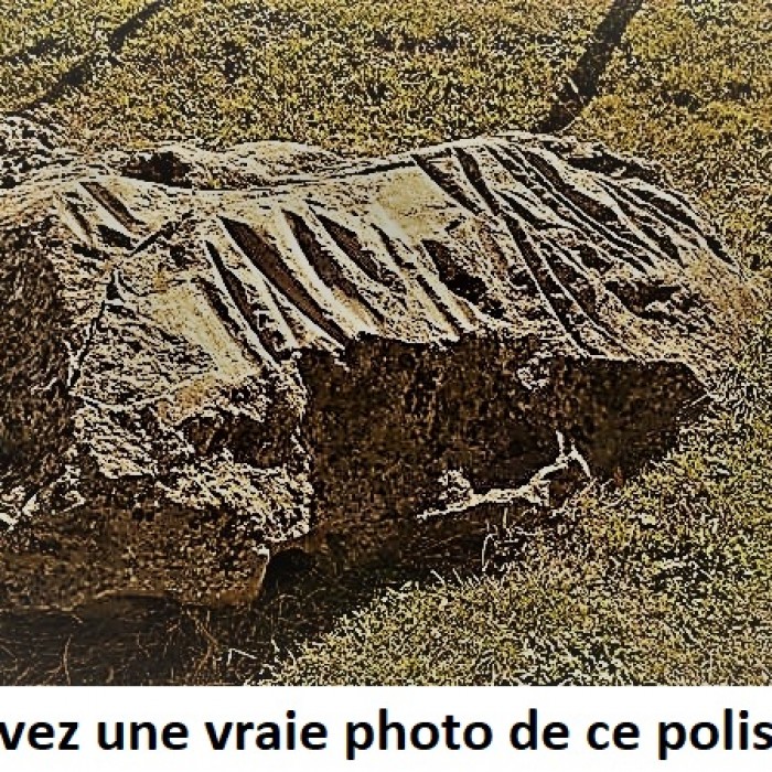 Photo de Polissoirs de la Pierre à leau de Lailly