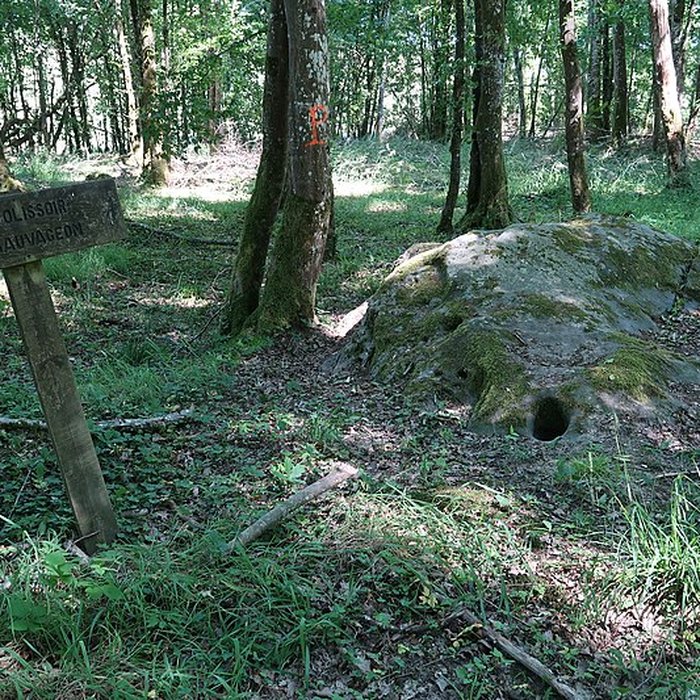 Photo de Polissoirs de la Pierre à leau de Lailly