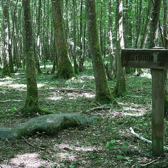Photo de Polissoirs de la Pierre à leau de Lailly