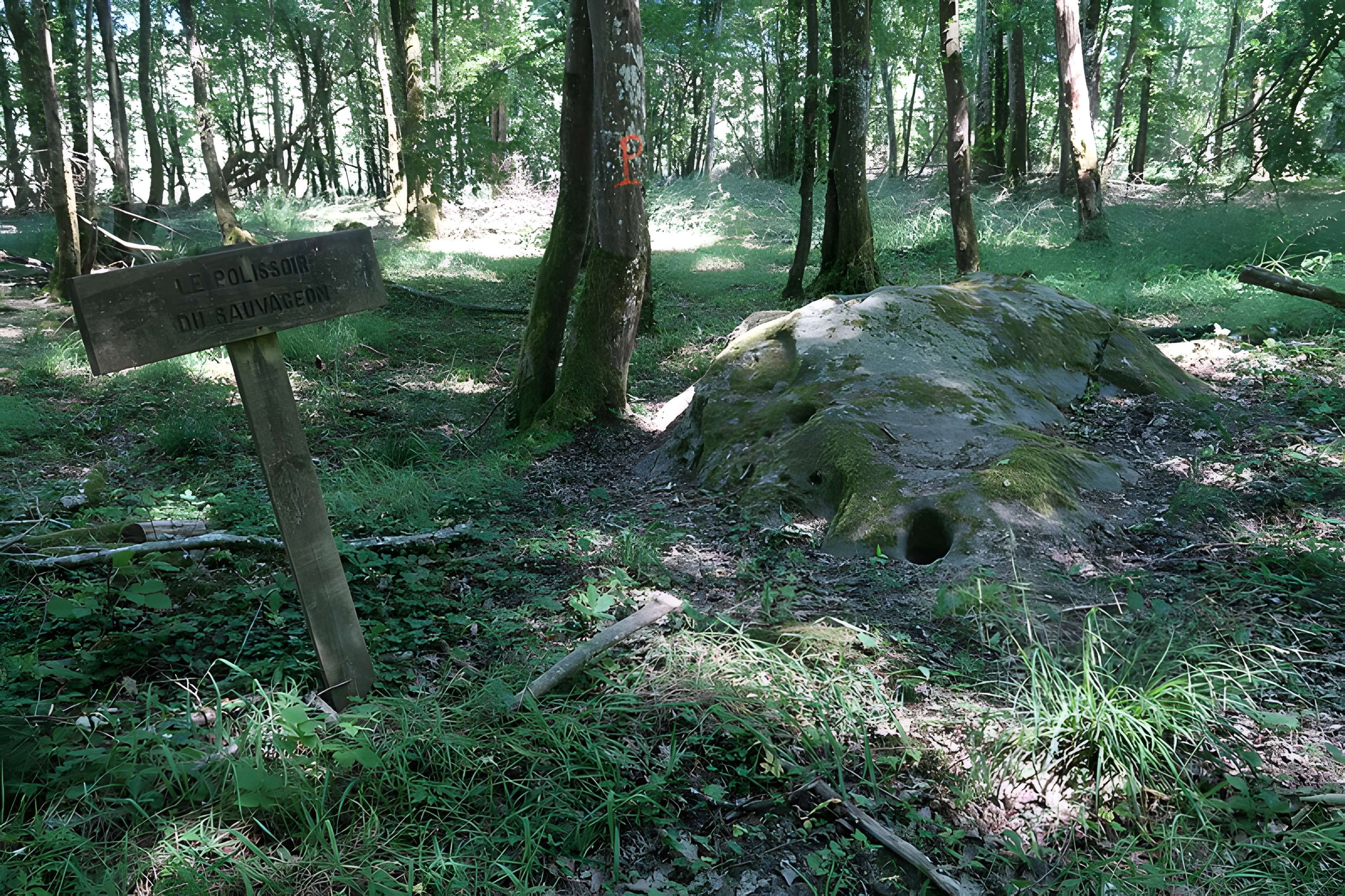 Polissoirs de la Pierre à l'eau de Lailly