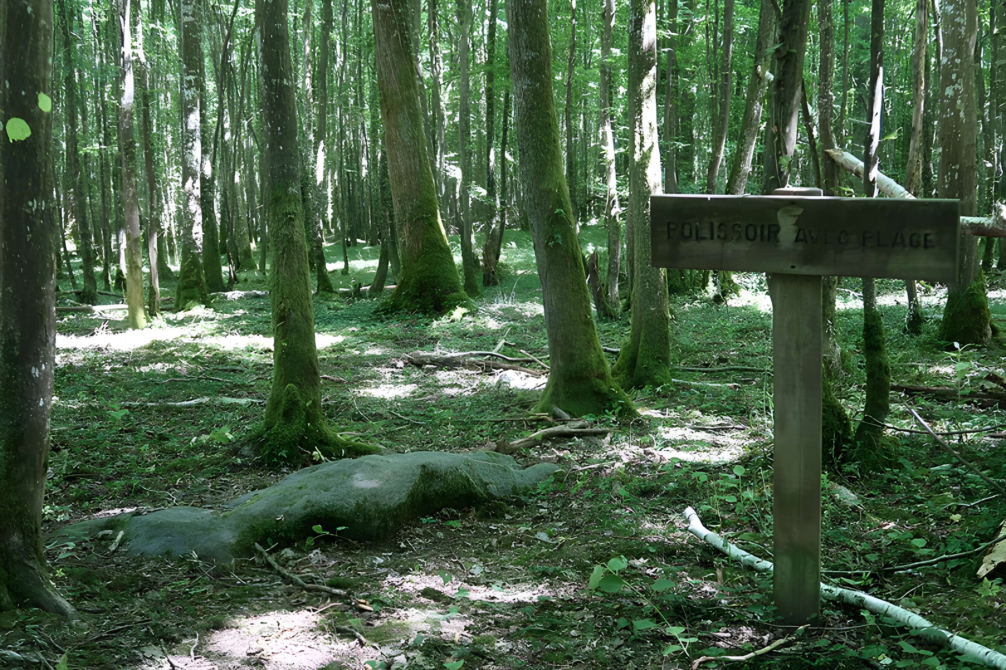 Polissoirs de la Pierre à l'eau de Lailly