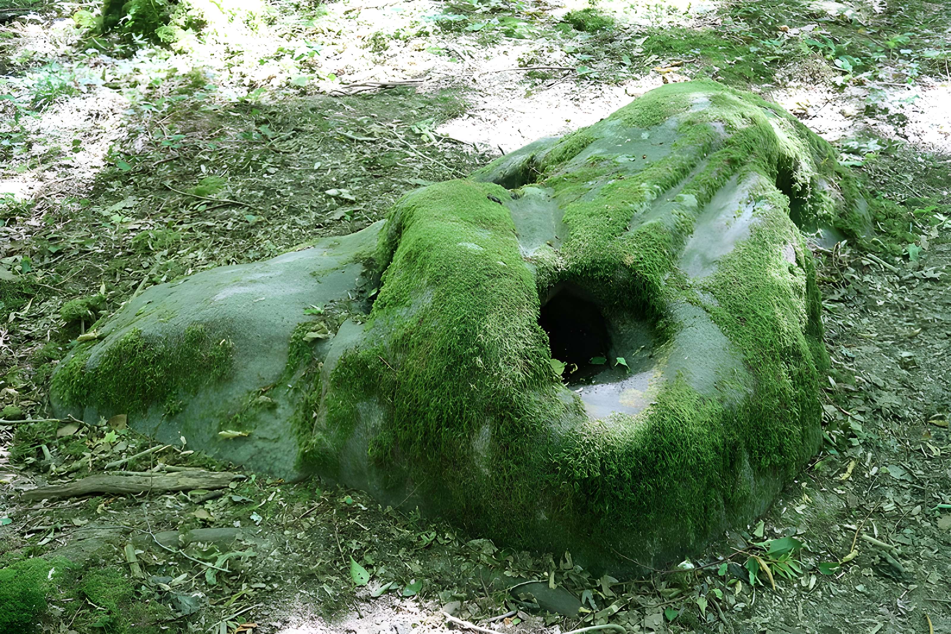 Polissoirs de la Pierre à l'eau de Lailly