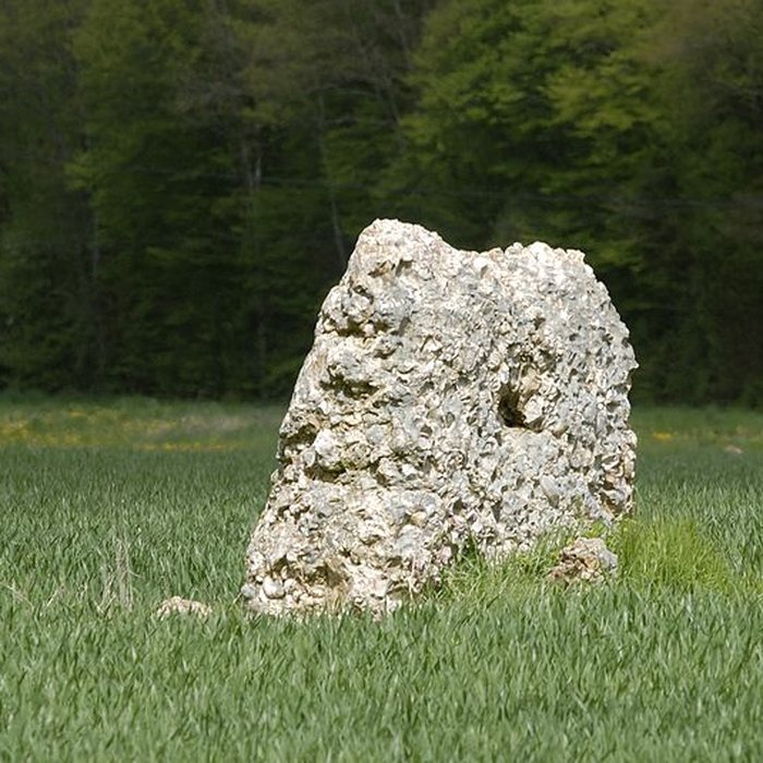 Photo de Polissoirs et menhir de Coinche à Chantecoq