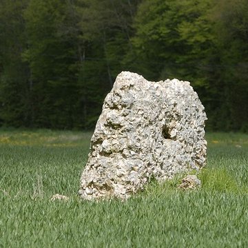 Polissoirs et menhir de Coinche à Chantecoq