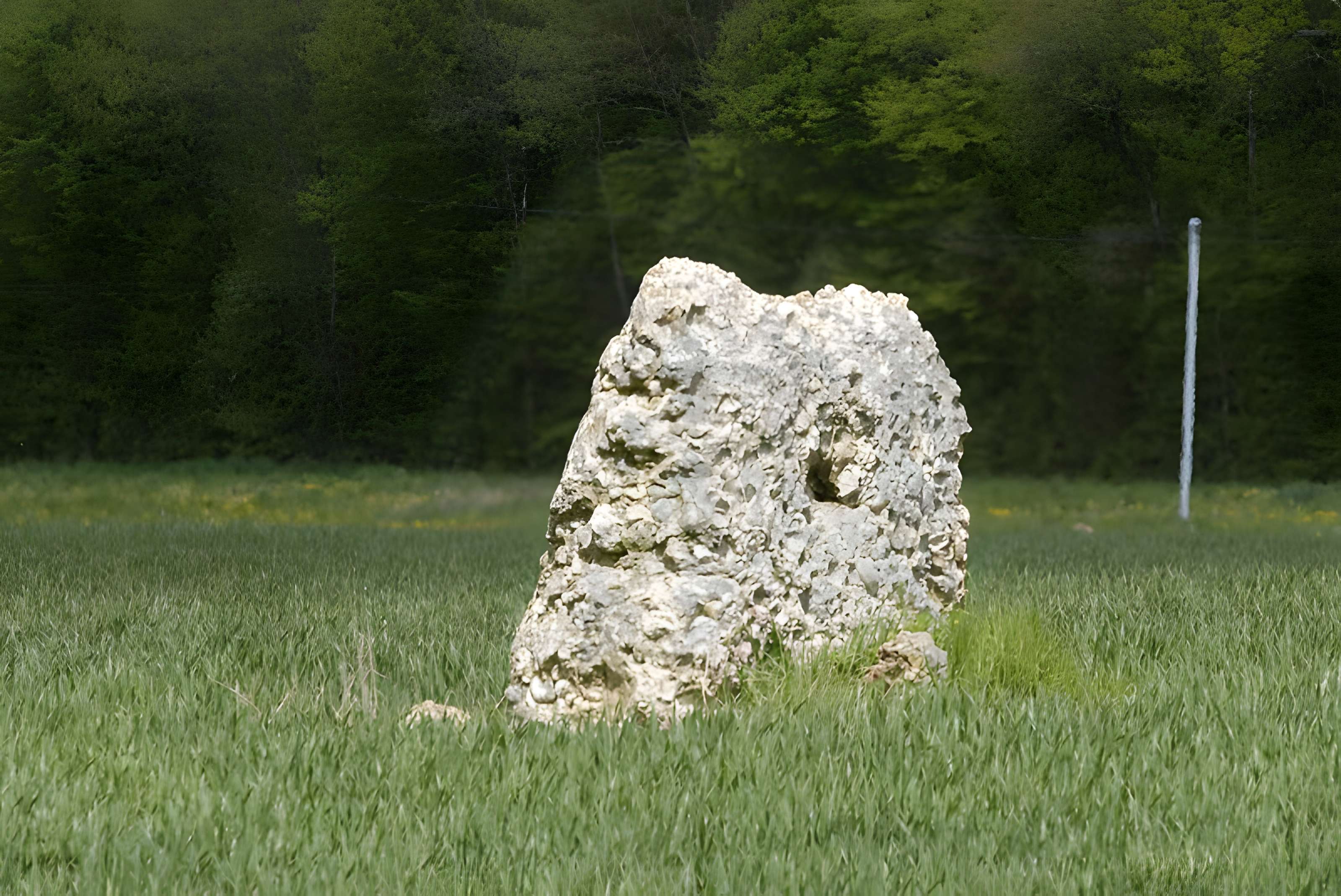 Polissoirs et menhir de Coinche à Chantecoq