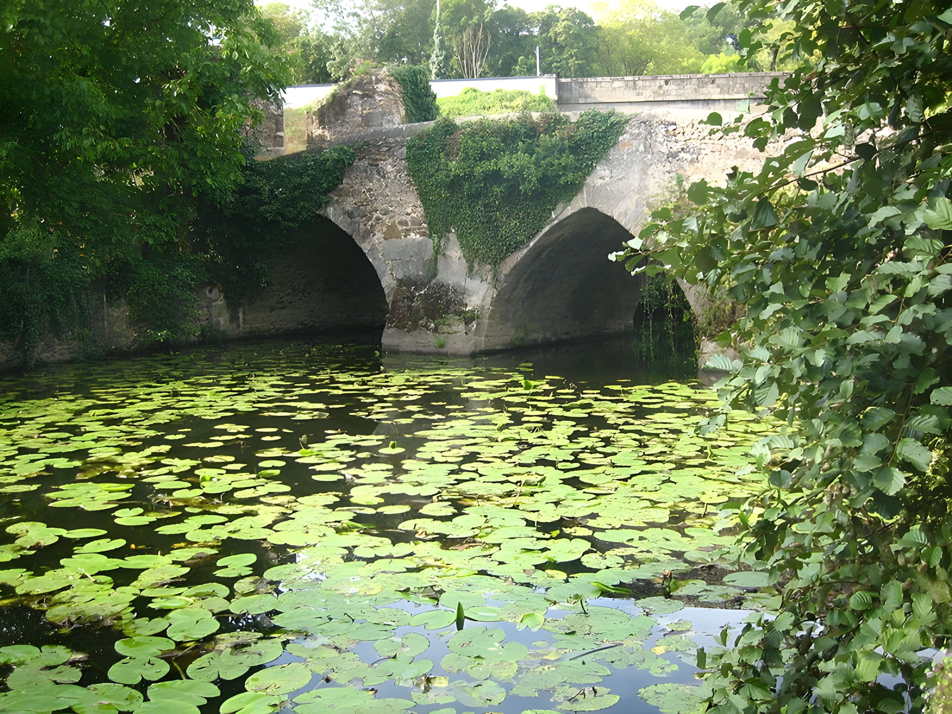 Pont Cadoret d'Argenton-Château 