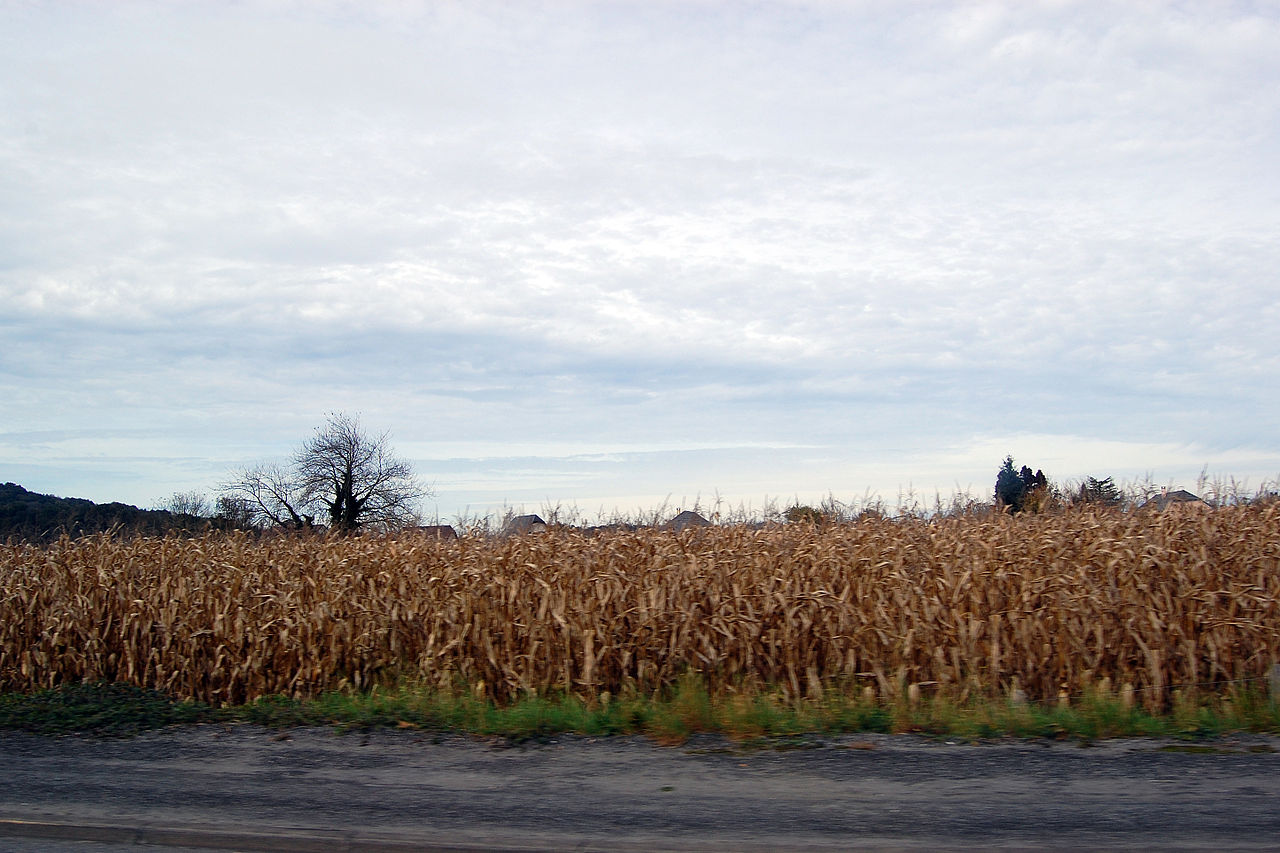 Pont de Betharram à Lestelle-Bétharram