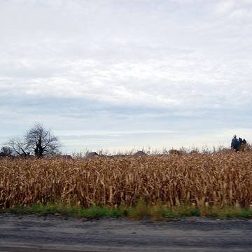 Pont de Betharram à Lestelle-Bétharram