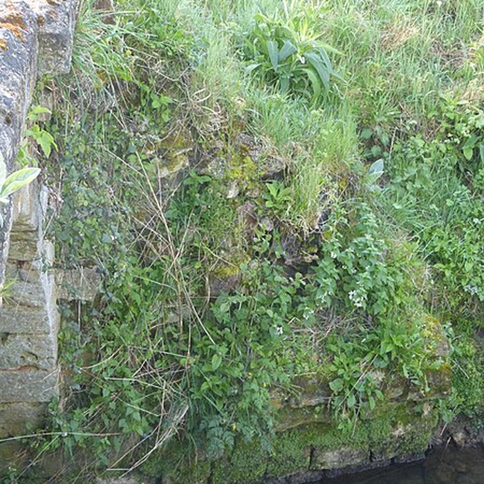 Photo de Pont de Coq également sur commune de Saumont-la-Poterie