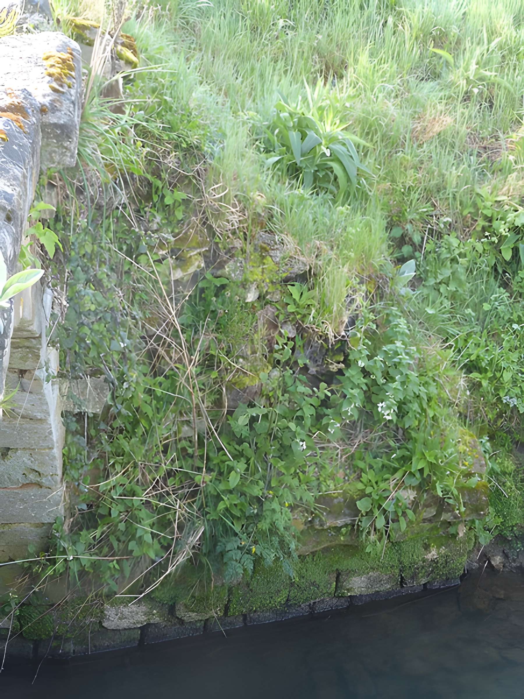 Pont de Coq (également sur commune de Saumont-la-Poterie)