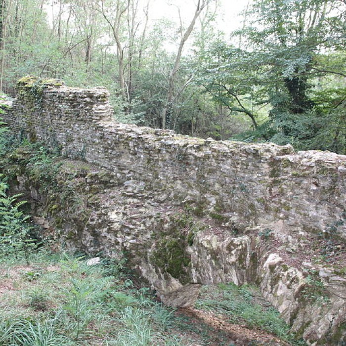 Photo de Pont-aqueduc dit le Pont de Jurieux vestiges