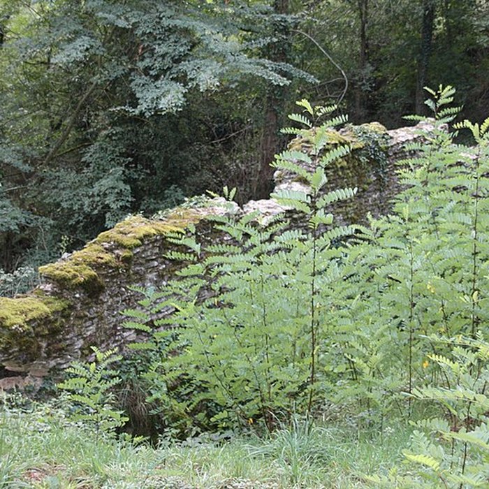 Photo de Pont-aqueduc dit le Pont de Jurieux vestiges