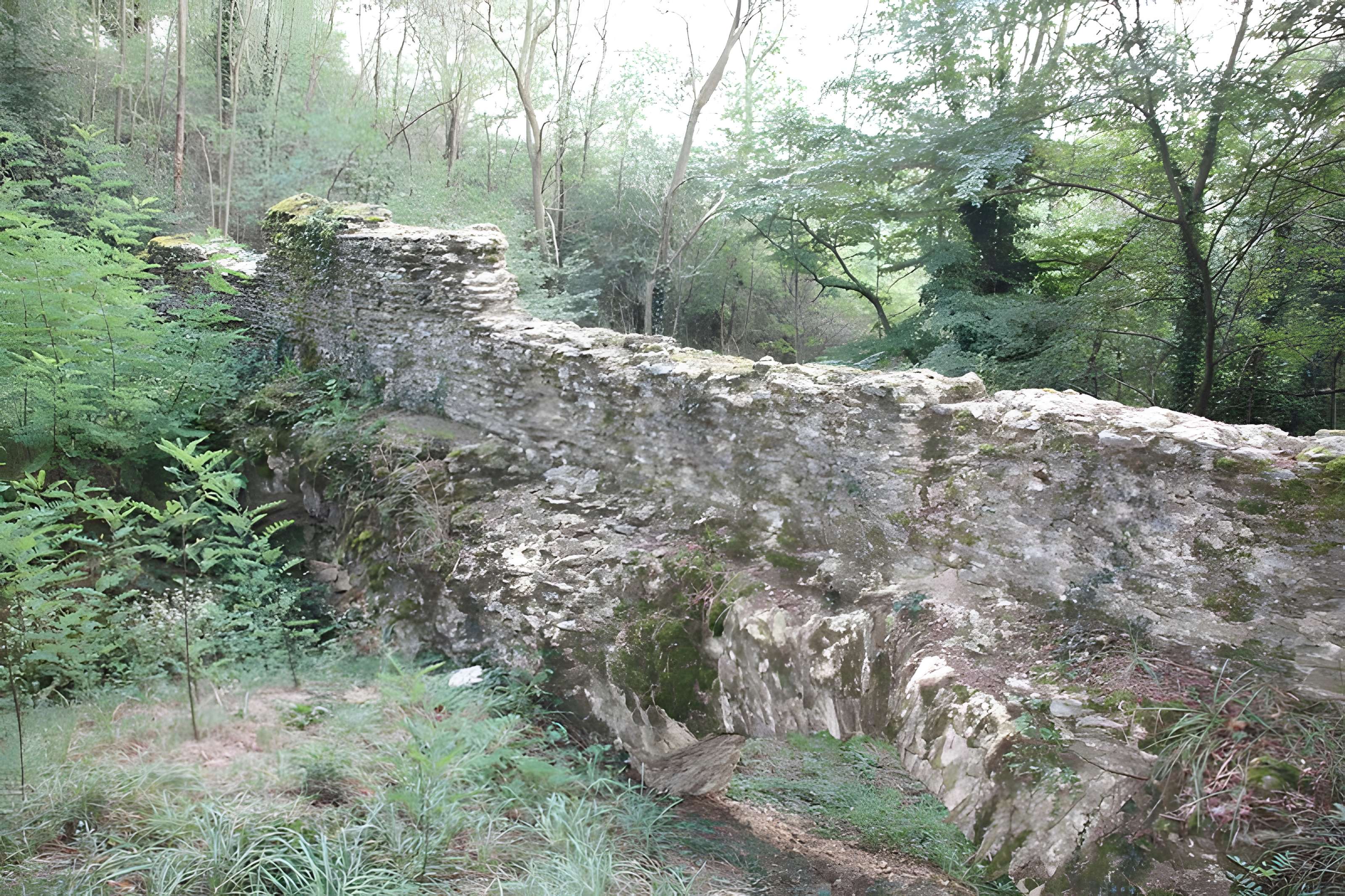 Pont de Jurieux à Saint-Maurice-sur-Dargoire 
